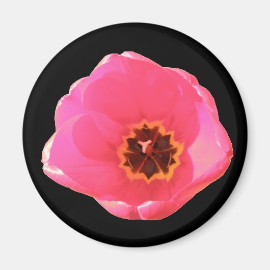 Roze Tulip Magnet (Voorkant)