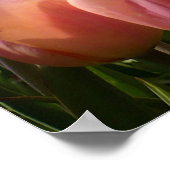 Roze Tulip North End Poster (Hoek)