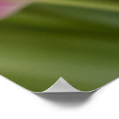 Roze Tulip-portret Poster (Hoek)