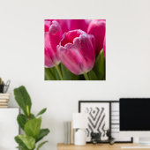 Roze Tulip-portret Poster (Thuiskantoor)