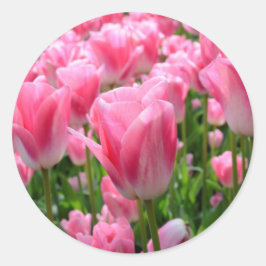 Roze Tulip Stickers