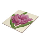 Roze Tulip tegel Tegeltje (Zijkant)