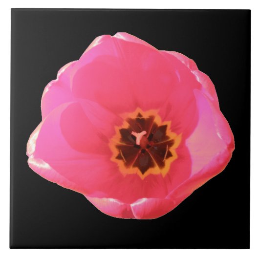 Roze Tulip Tile Tegeltje (Voorkant)