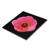 Roze Tulip Tile Tegeltje (Zijkant)