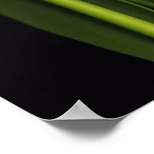 Roze Tulip trio afdrukken Poster (Hoek)