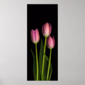 Roze Tulip trio afdrukken Poster (Voorkant)