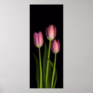 Roze Tulip trio afdrukken Poster
