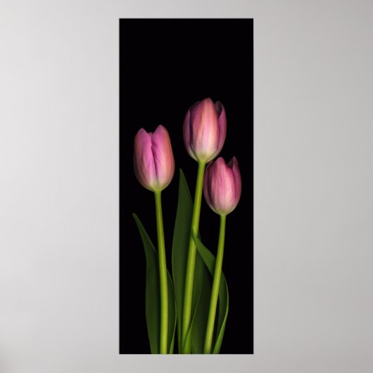Roze Tulip trio afdrukken Poster (Voorkant)