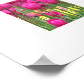 Roze Tulip tuinbouillon Fotografisch Poster (Hoek)