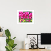 Roze Tulip tuinbouillon Fotografisch Poster (Thuiskantoor)