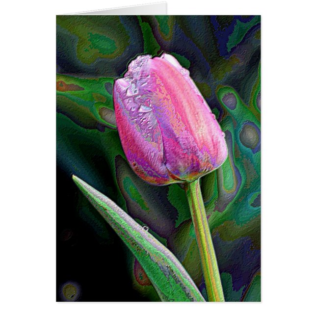 Roze Tulip verbeterd (Voorkant)