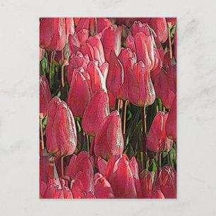 Roze Tulips Floral Briefkaart