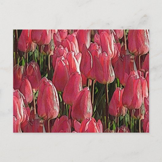 Roze Tulips Floral Briefkaart (Voorkant)