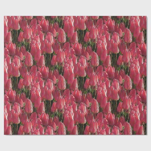 Roze Tulips Floral Cadeaupapier (Vlak)