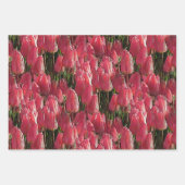 Roze Tulips Floral Inpakpapier Vel (Voorkant)