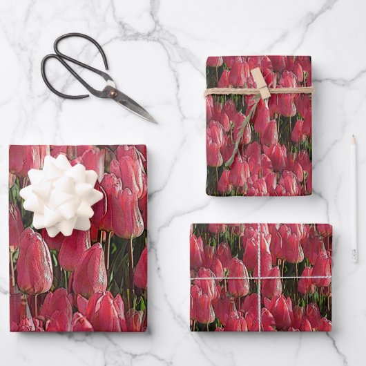 Roze Tulips Floral Inpakpapier Vel (Voorkant)