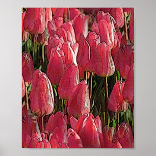 Roze Tulips Floral Poster
