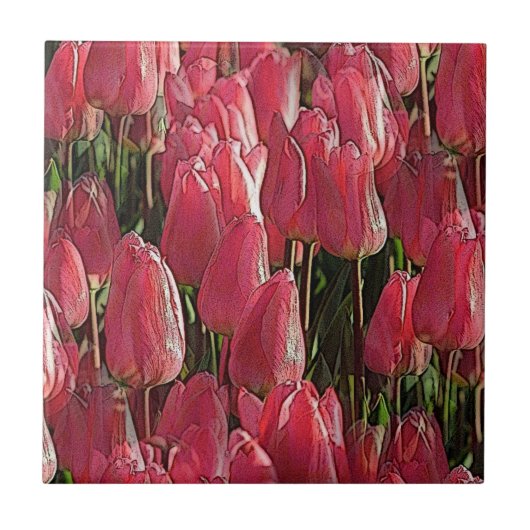 Roze Tulips Floral Tegeltje (Voorkant)