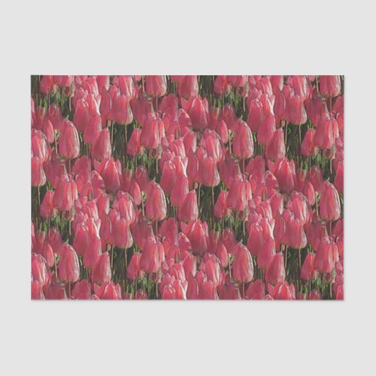 Roze Tulips Floral Tissuepapier (Voorkant)