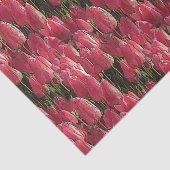 Roze Tulips Floral Tissuepapier (Detail)