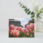 Roze Tulips in Boston Briefkaart (Staand voorkant)