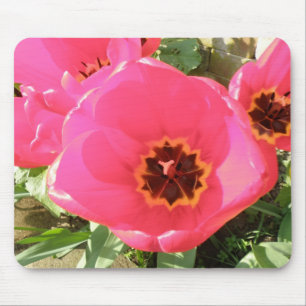 Roze Tulips Mousepad Muismat