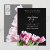 Roze Tulp Bewaar de datum Briefkaart (Voorkant / Achterkant)