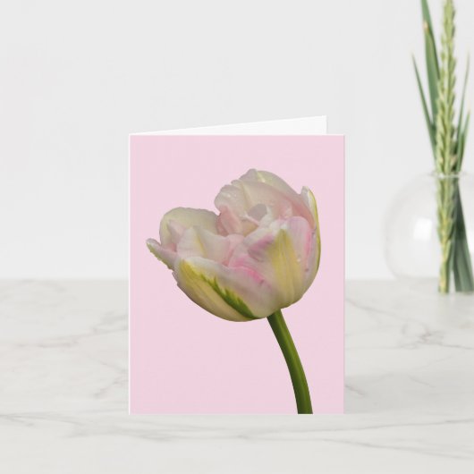 Roze Tulp Blank of aangepaste begroeting Dank u Op Kaart (Voorkant)