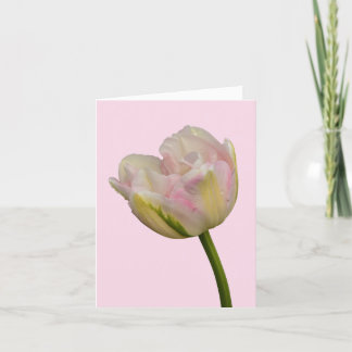 Roze Tulp Blank of aangepaste begroeting Dank u Op Kaart