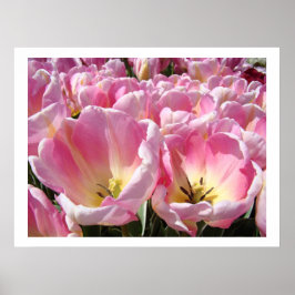 ROZE Tulp Bloem Tuin kunst prints posters