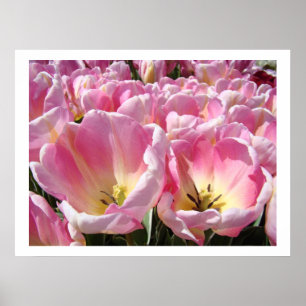 ROZE Tulp Bloem Tuin kunst prints posters