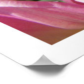ROZE Tulp Bloem Tuin kunst prints posters (Hoek)