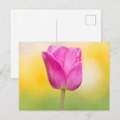 Roze Tulp Bloemige Kunstprint Briefkaart (Voorkant / Achterkant)
