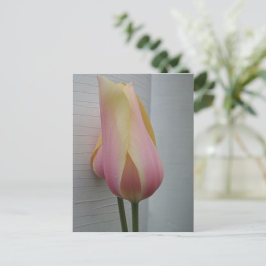 roze tulp briefkaart (Staand voorkant)