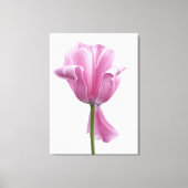 Roze tulp canvas afdruk (Voorkant)