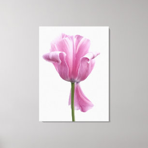 Roze tulp canvas afdruk
