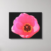 Roze Tulp Canvasprint Canvas Afdruk (Voorkant)