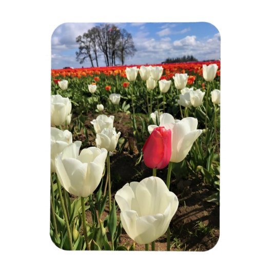 Roze Tulp die Opvalt, Oregon Magneet (Verticaal)