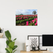 Roze Tulp Field, Oregon Poster (Thuiskantoor)