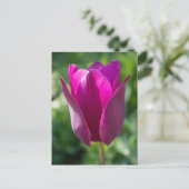 Roze Tulp Florence Briefkaart (Staand voorkant)