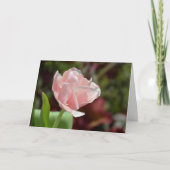  Roze Tulp Fotografische BloemenPasen Kaart (Voorkant)