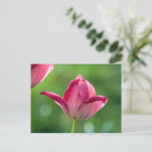 Roze tulp in de ochtend dauw briefkaart (Staand voorkant)