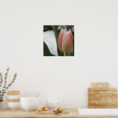 Roze tulp in sneeuw poster (Keuken)