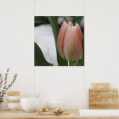 Roze tulp in sneeuw poster (Keuken)