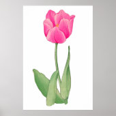 Roze tulp,  Japanse kunst Poster (Voorkant)