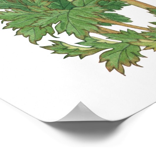 Roze tulp,  Japanse kunst Poster (Hoek)