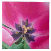 Roze tulp keramische tapijten tegeltje (Voorkant)