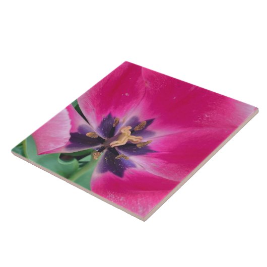 Roze tulp keramische tapijten tegeltje (Zijkant)