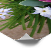 Roze Tulp Kleine Dingen Lente Tuin Poster (Hoek)