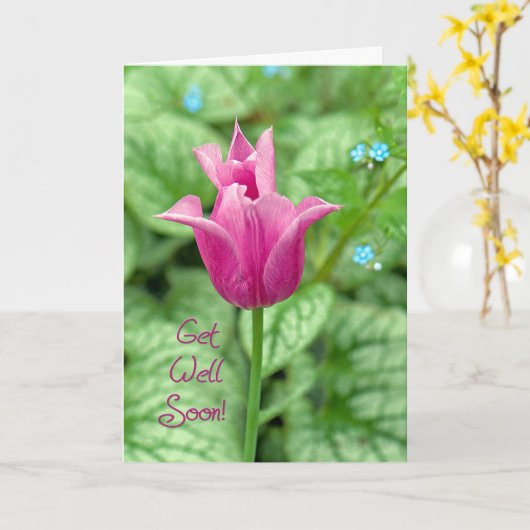 Roze tulp komt snel goed kaart (Gele Bloem)